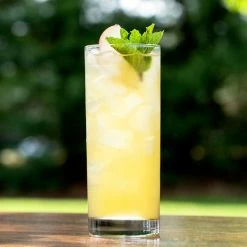 Anchor Hocking 3181EU Regency 10 Oz. Heavy Base Collins / Mojito Glass - 36/Case 5 Anchor Hocking 3181EU Regency 10 Oz. Heavy Base Collins / Mojito Glass - 36/Case -Vidivi shop 1101166