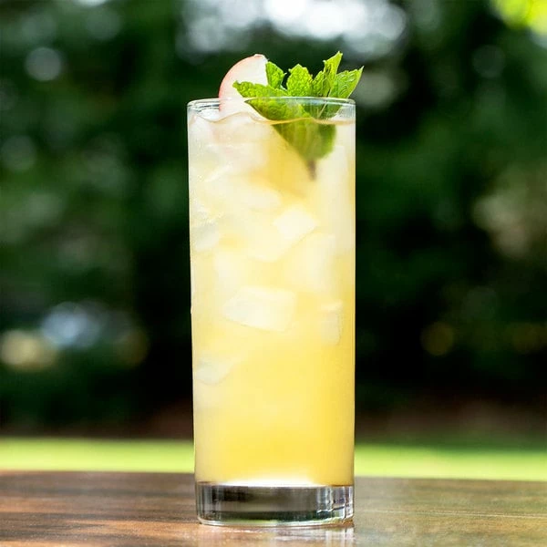 Anchor Hocking 3181EU Regency 10 Oz. Heavy Base Collins / Mojito Glass - 36/Case 3 Anchor Hocking 3181EU Regency 10 Oz. Heavy Base Collins / Mojito Glass - 36/Case - Image 3