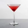Thunder Group PLTHMT008C 8 Oz. Plastic Martini Glass