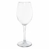 Front Of The House AWI006CLT23 Drinkwise 16 Oz. Tritan Plastic Wine Glass - 12/Pack