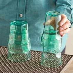 Choice 10 Oz. Green SAN Plastic Paneled Tumbler - 12/Pack -Vidivi shop 2163227