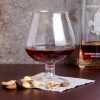 GET Enterprises GET BRA-2-PC-CL 16 Oz. Customizable Plastic Brandy Snifter